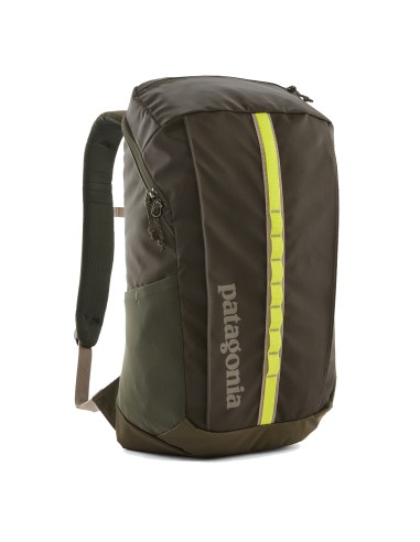 Patagonia Black Hole Pack 25L Pine Needle Green les muscles